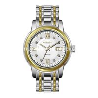 Gold Stainless Men Watch 32520M